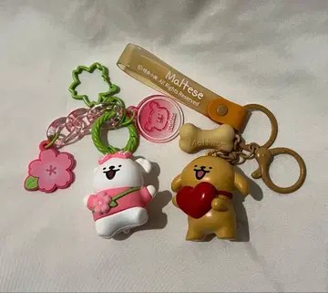 Maltese 참 키링 2개 세트
