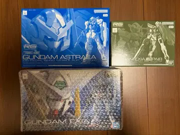 RG 엑시아 3종 세트