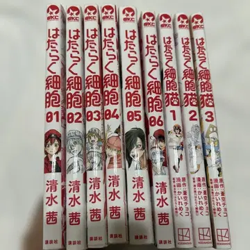 일하는 세포 일하는 세포 고양이