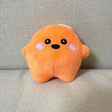 만박 독일관 서큘러짱 작은 오렌지