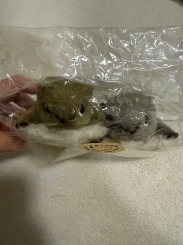 야마네 공방 모몽가 2체