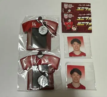 배구 일본 대표 이시카와 유키 유니폼 미니 사진 홀더