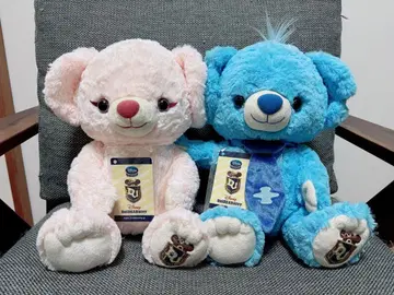 레어 UniBEARsity 유니베어 초대 블루베리