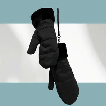 [ ALPO ] 퍼 포함 블랙 미튼