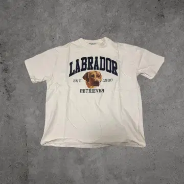 Labrador Retriever T셔츠 1986년 설립