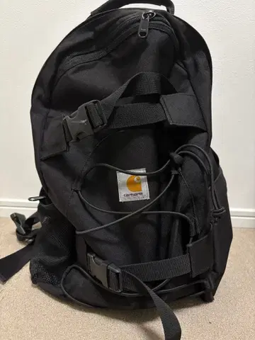 Carhartt 블랙 백팩