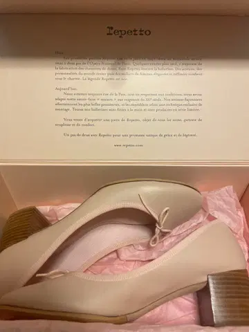 Repetto Farah Ball AD 펌프스 39