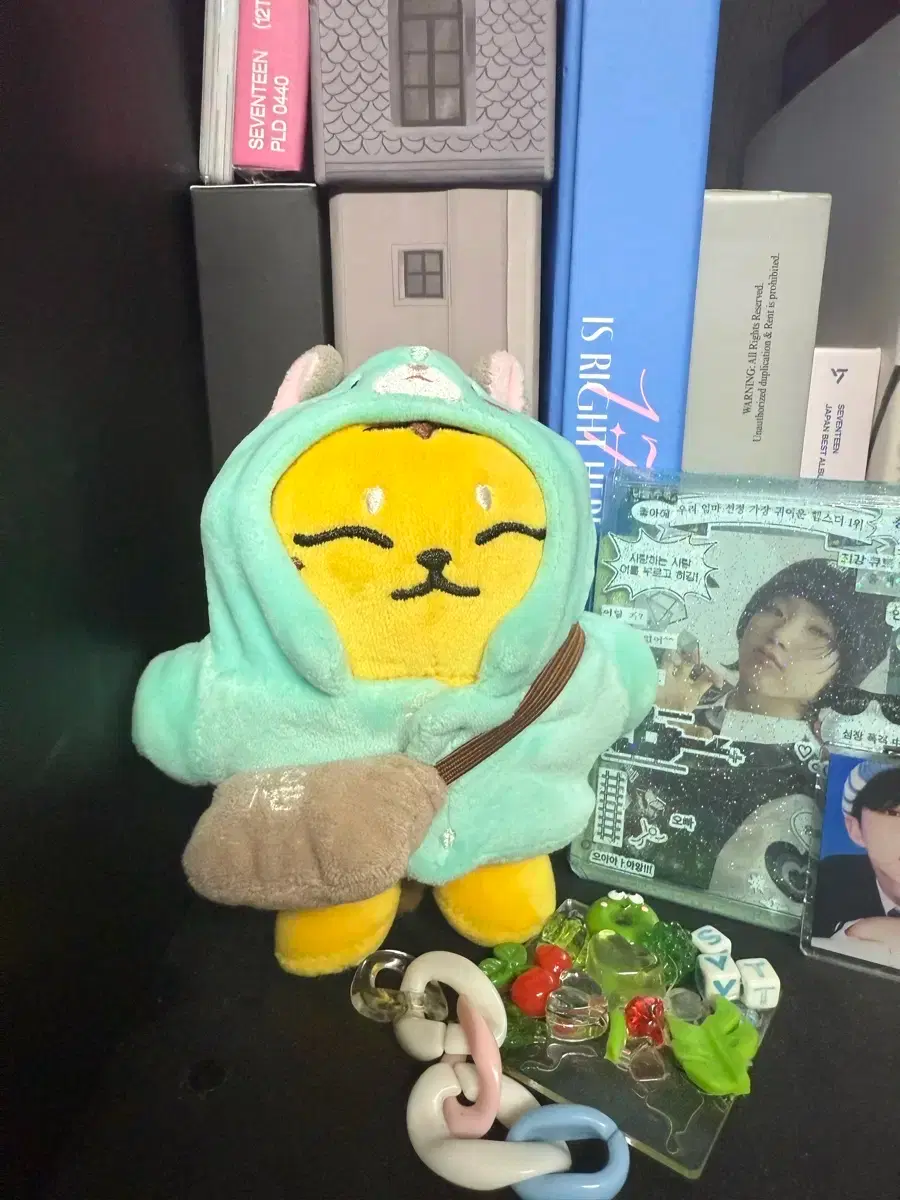 Seventeen Hoshi Artist-Made TamTam + Bonus