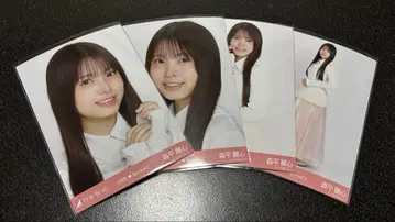 모리히라 레이신 노기자카46 브로마이드 6기생Special 신참자 컴프