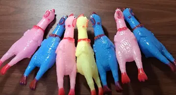 컬러풀 치킨의 포효 소