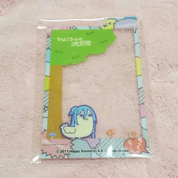 앙스타 부쿠스타 포토콜렉션