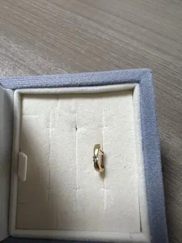 츠츠미 한쪽 귀