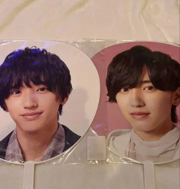 미치에다 슌스케 부채 2종 세트