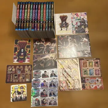 매쉬루 MASHLE 1-16