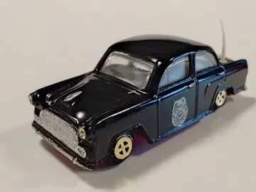 맥스웰 앰버서더 폴리스카