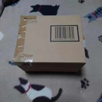 SH 피규아트 블랙 레이디