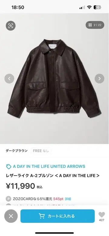 A DAY IN THE LIFE A-2 풀존 다크 브라운