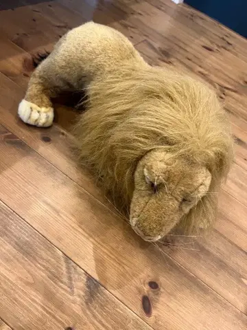 리얼 라이온 봉제 인형 중형