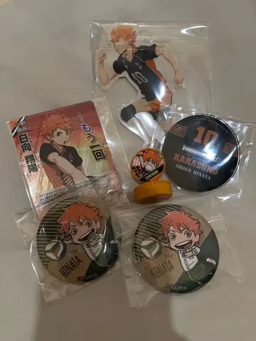 히나타 쇼요 묶음 판매