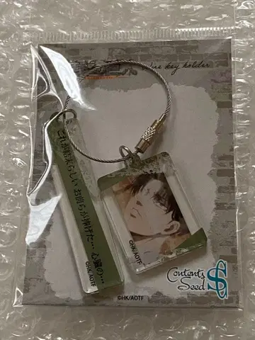 진격의 거인 와이어 키링 리바이