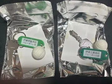 하이큐!! 열쇠 참 키링 다테공 토비 학원