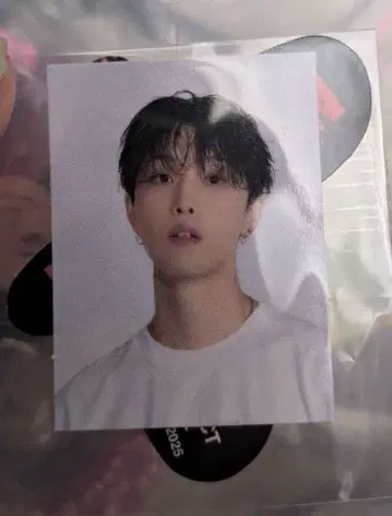 호리 나츠키 스티커 회장 한정판 캡슐