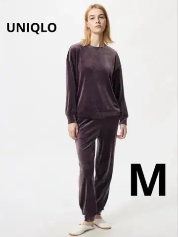 UNIQLO 울트라 스트레치 스무스 세트 퍼플 M