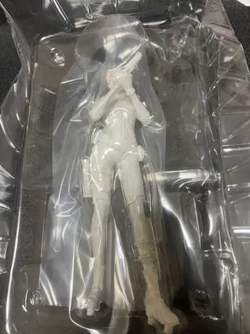 바이오하자드 복권 서바이벌상 질 발렌타인 상자 없음