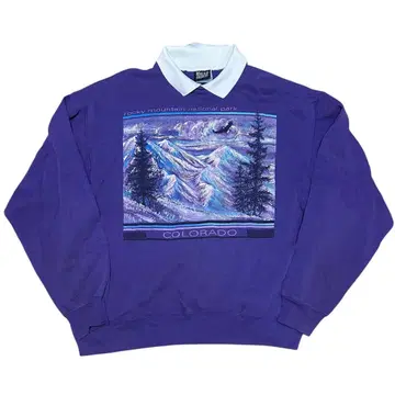 90s sHanes 카라 부착 맨투맨 트레이닝복 아트 그래픽 퍼플 빈티지