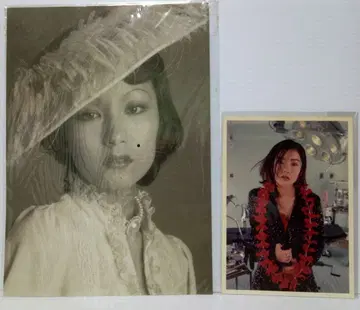 시이나 링고 포트레이트 사진