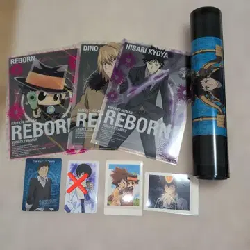 가정교사 히트맨 REBORN! 클리어 파일 포스터 카드 세트