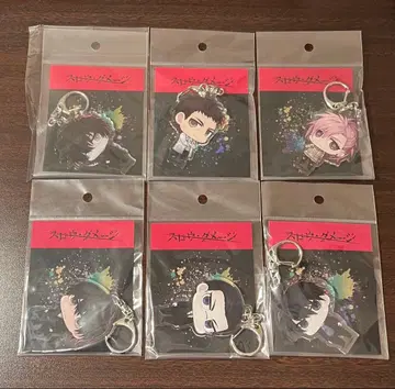 슬로우 데미지 슬로우 데미지 치비 아크릴 키링 전종