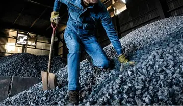 DOGMAN 8026 슬림 스트레치 슬라브 카고 팬츠