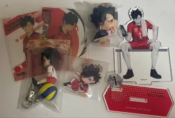 쿠로오 테츠로 피규어 세트 IVY