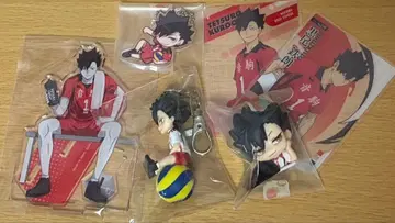 쿠로오 테츠로 피규어 세트 IVY