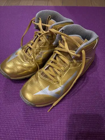 미즈노 웨이브다이버 사이즈 23.5