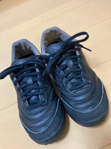 미즈노 모렐리아 살라 TF