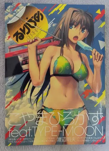 루리히메 아트북 TYPE-MOON/마법사의 밤 특집