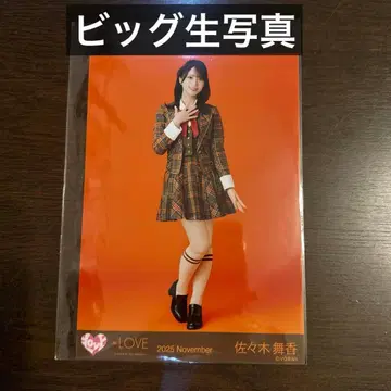 이코라브 사사키 마이카 빅 브로마이드