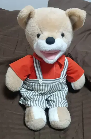 콘토아키 M 사이즈