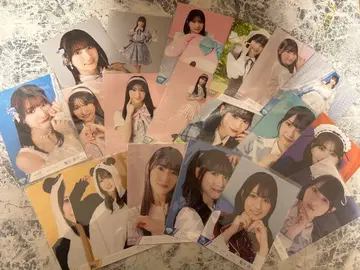 카니사와 모에코 브로마이드 묶음 판매