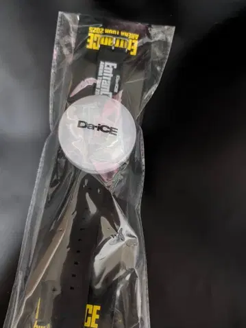 Da-iCE 응원봉 2025 Entrance