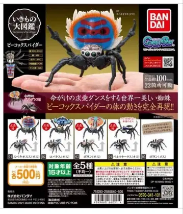 반다이 생물대도감 피콕 스파이더 전 5종 세트 판매