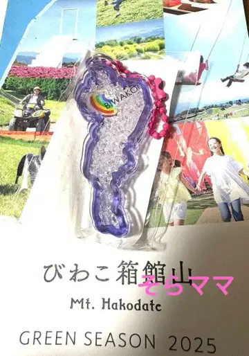 비와코 아크릴 키링