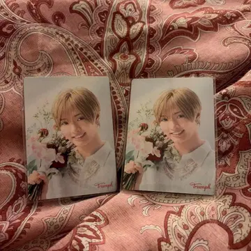 사토 신 Triumph 2세트 IMP