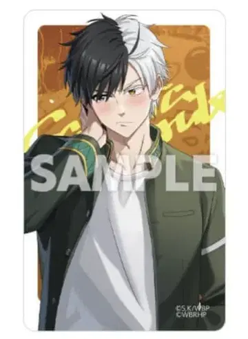 WINDBREAKER 윈브레 AGF2025 트레이딩 카드 사쿠라 하루카