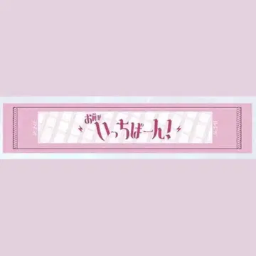 슈뢰딩거의 개 이치 타월