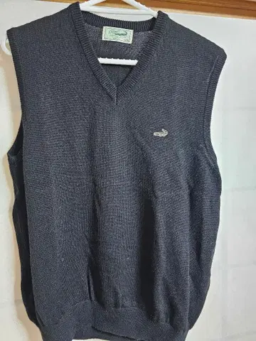 크로커다일 V넥 베스트 M