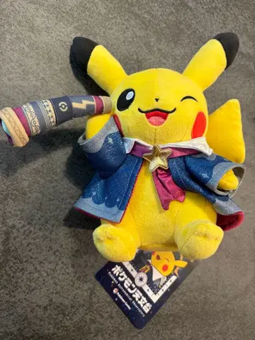 피카츄 천문대 별하늘 피카츄 봉제 인형