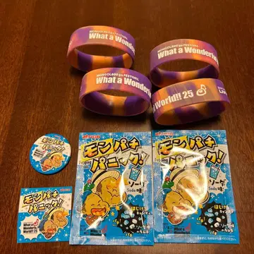 몽파치 페스 2025 몽파치 패닉 배치 암밴드